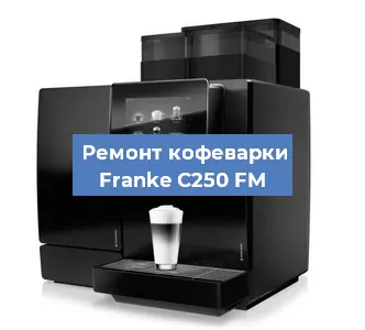 Замена жерновов на кофемашине Franke C250 FM в Нижнем Новгороде